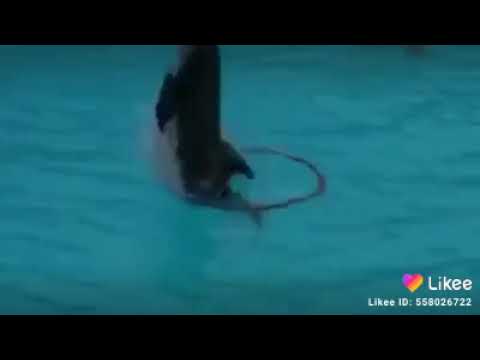 صلو معي عالنبي محمد اللهم صلي عليه