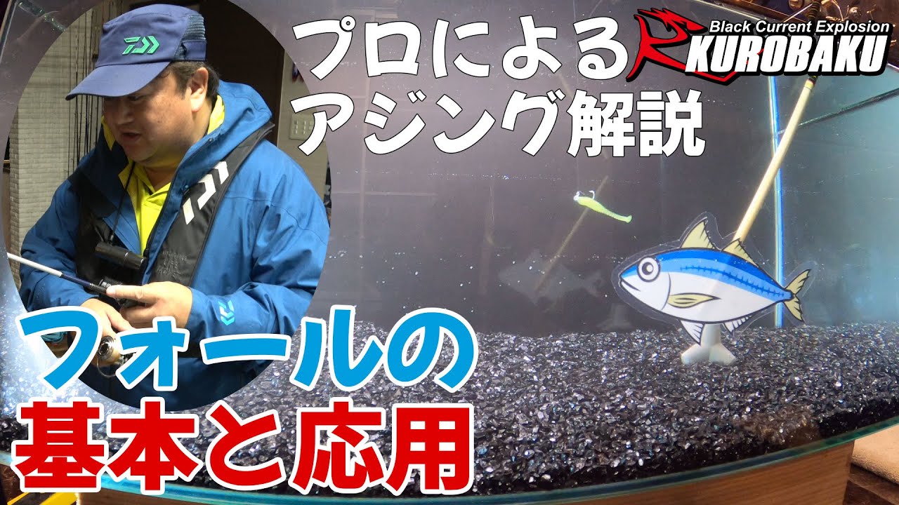 釣りのプロに教わるアジング解説 フォール編 Youtube