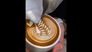 Swan Latte Art | Coffee Art 🎨#baristalife #art #barista