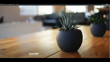 MySql & Wordpress As Docker Containers In FreeNas