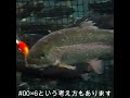 リング＃00×6連というセッテングもあります※このセッテングは動きは変わってしまいます！
