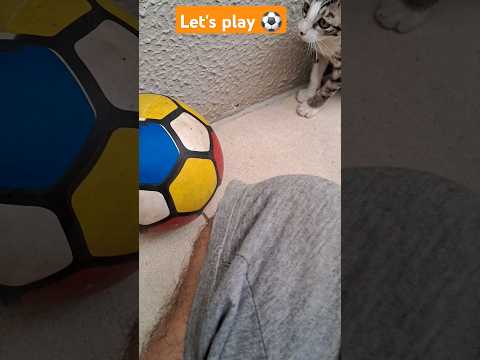 let's play with