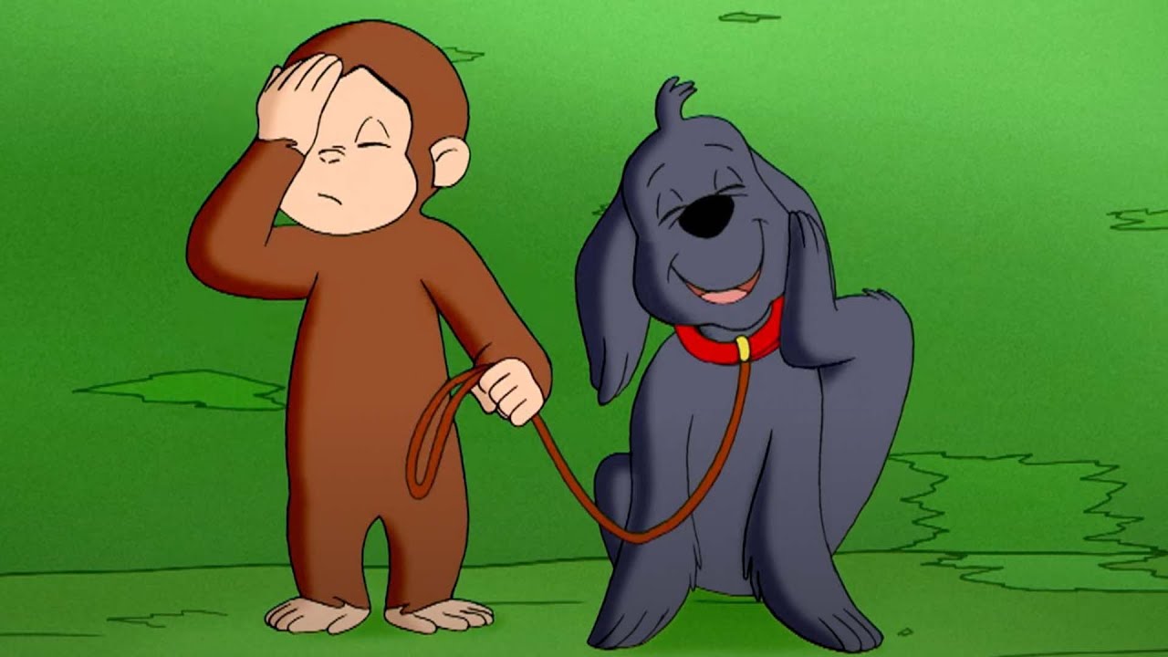 Coco der Neugierige | Spielen mit Hunden | Cartoons für Kinder