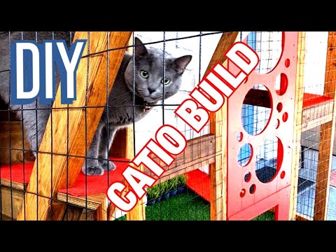 hqdefault How to build a cat window box with these DIY ideas