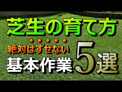 If you do not know this work, you will not grow [lawn] Basic work 5 items  How to grow lawn