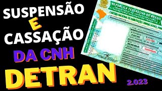 PENALIDADES DE SUSPENSÃO E CASSAÇÃO DA CNH - CARTEIRA NACIONAL DE HABILITAÇÃO | PROVA TEÓRICA DETRAN