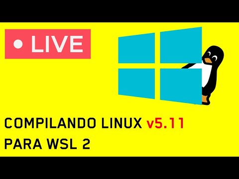 Vídeo: A Blackbird Privacy Tool ajustará as configurações de Privacidade e Telemetria do Windows 10