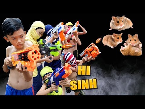 Video: Làm Thế Nào để Nói Với Một Cô Gái Hamster Từ Một Cậu Bé Hamster