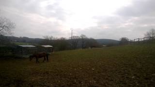 WP 20160419 002