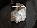 Dakshinavarti shankh #astrology #healing #crystal #shell