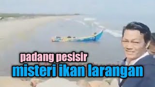 misteri ikan larangan padang pesisir sumatra barat