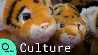 China Celebrates Year of the Tiger Before Winter Olympics