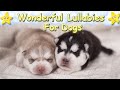 Soothing Calming Relaxing Sleep Music For Puppies ♫ Calm Relax Your Dog ♥ Lullaby For Dogs Dog Music