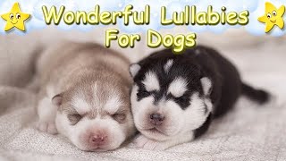 Soothing Calming Relaxing Sleep Music For Puppies ♫ Calm Relax Your Dog ♥ Dog Music