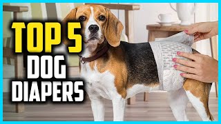 ✅Top 5 Best Dog Diapers of 2024