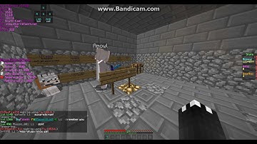 Pika Network | Classic Skyblock | Hacker