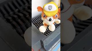 Shredding Paw Patrols Dog Gojzer