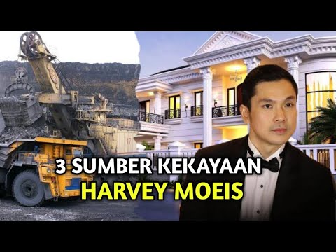 3 SUMBER KEKAYAAN HARVEY MOEIS I Suami Sandra Dewi Pengusaha Batubara