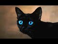 Kunikan Kucing Ojos Azules の動画、YouTube動画。