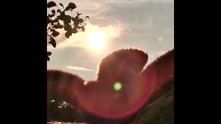 IMG_20X60X0X.jpg