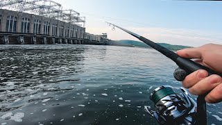 Dam Fishing for LOADED Striped Bass (Striper Fishing) | East Coast EP.3