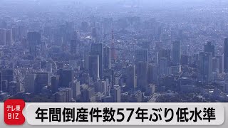 21年の倒産件数が57年ぶり低水準　政府支援策が奏功（2022年1月13日）