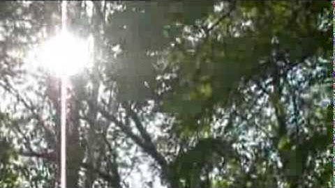 Thumbnail of "Вишня"