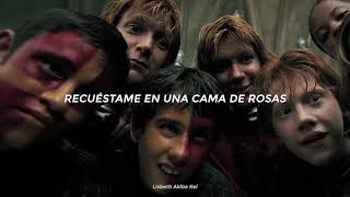 Si te gusta Harry Potter esta combinación dolerá 💔 | Harry Potter 🎆