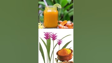 Công dùng thần kỳ của "củ Nghệ"