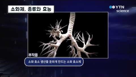 소화제, 종류와 효능 / YTN 사이언스