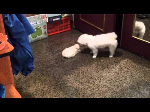 琪琪對自己女兒超不耐煩