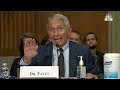 Watch: Dr. Fauci, Sen. Rand Paul Clash During Congressional Hearing