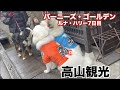 高山観光・雪遊び未公開編