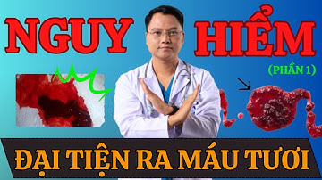 ĐẠI TIỆN RA MÁU TƯƠI Thì Liệu Có NGUY HIỂM HAY KHÔNG? (PHẦN 1) |Dr Cường Offical