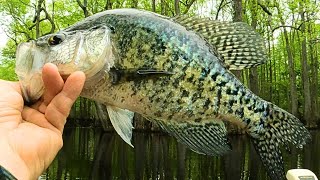 Shallow Summer Crappie fishing - and a few Bream