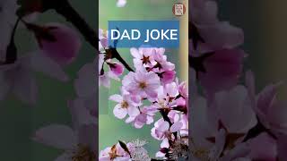 Dad Joke - let’s put a pin in it #jokes #funny #laughs #shorts