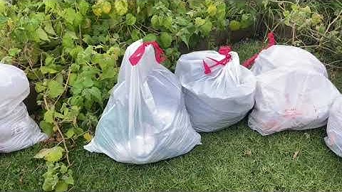 Tiny Tidy Tuesday/Front Yard/Tidy Up Closet/One Bag Recyclables/Open Collab