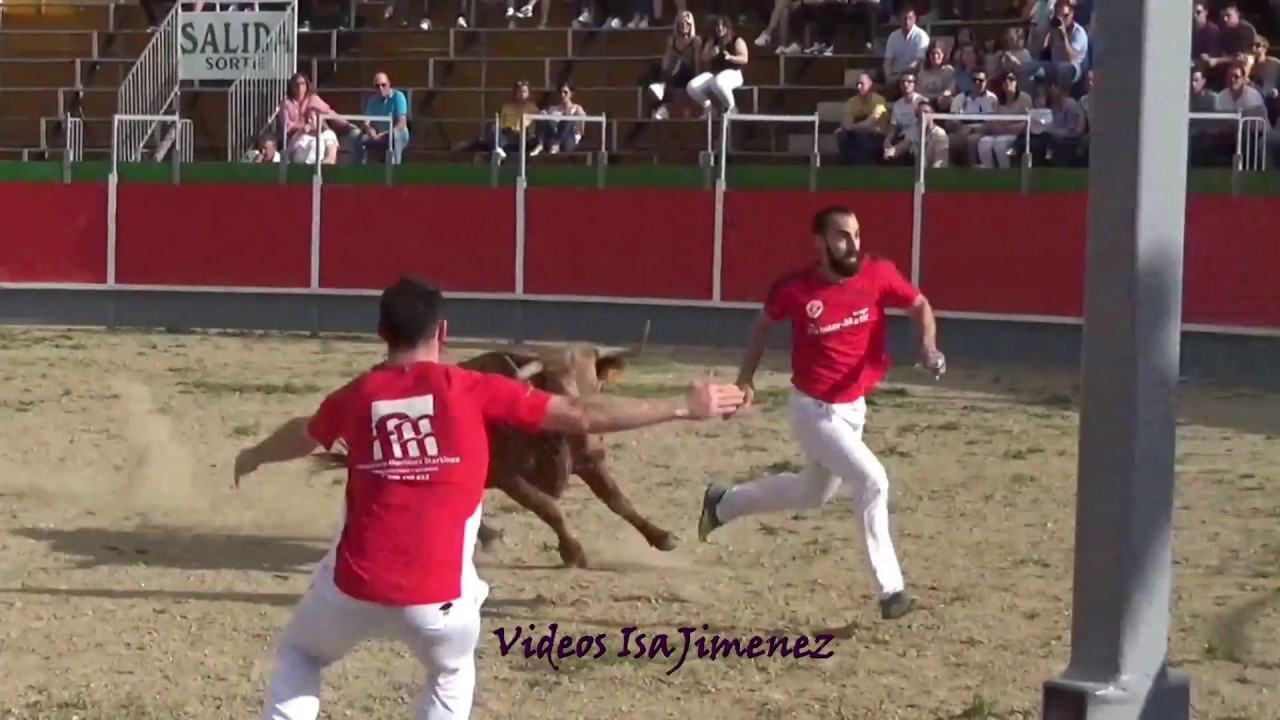 Concurso de recortadores Tauste (Zaragoza) 06/05/2018 - Patxi Sánchez y Manu Soto - HD