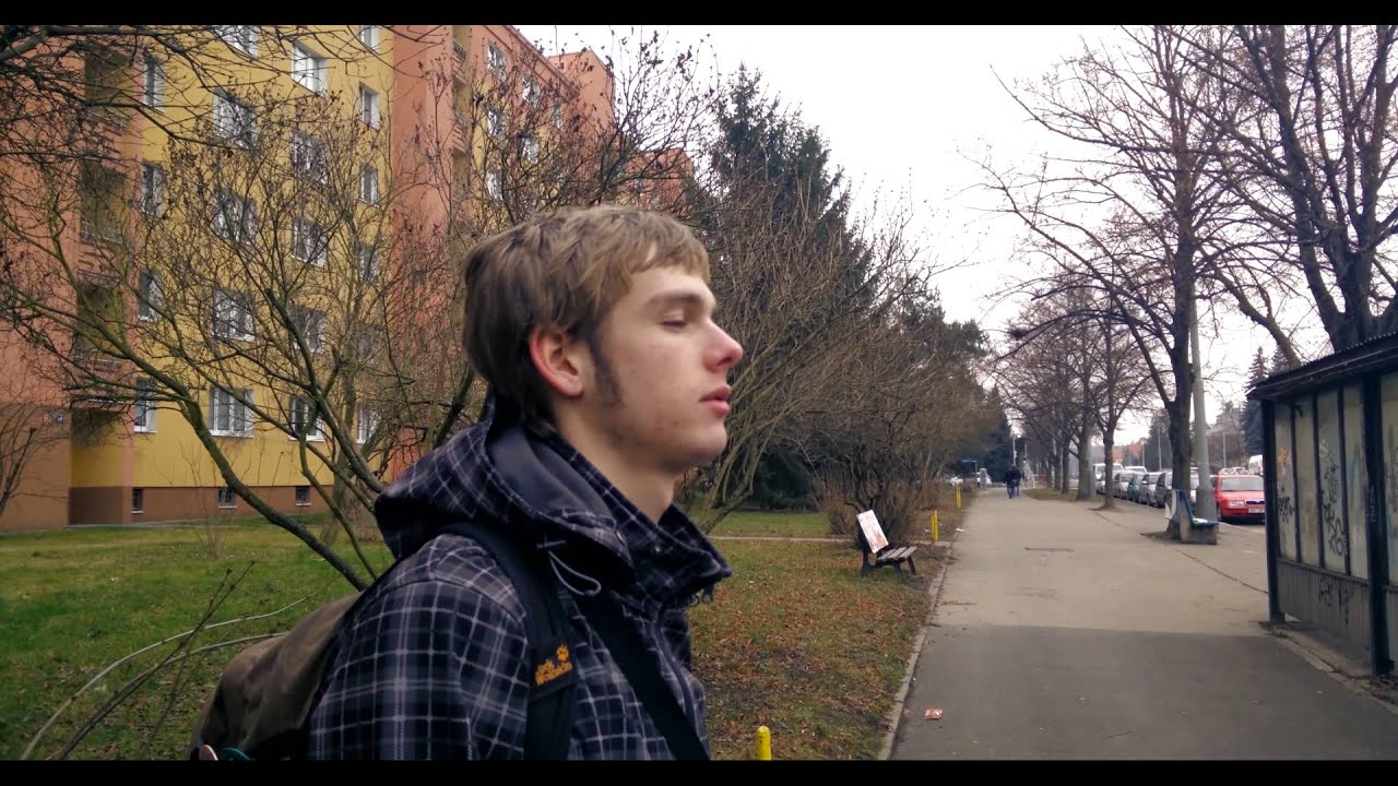 Albert Einstein Mashup (Flying pig 2011)