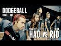 YOUTUBER DODGEBALL CHALLENGE