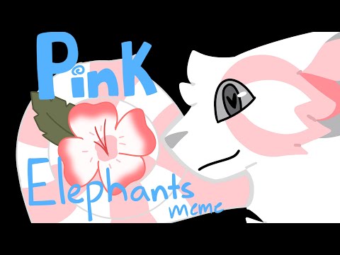 Video: Pink elephant and autumn rains