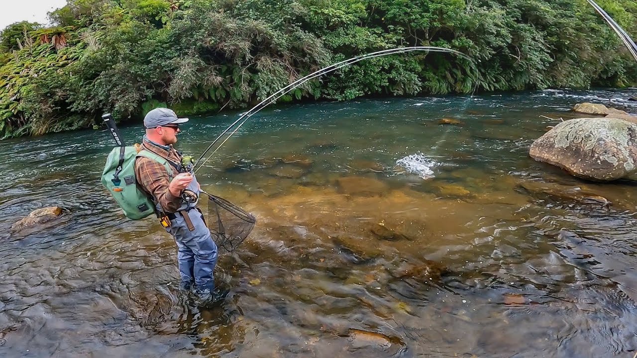 Fly Fishing Epic River for Loads of Top Quality Trout! 