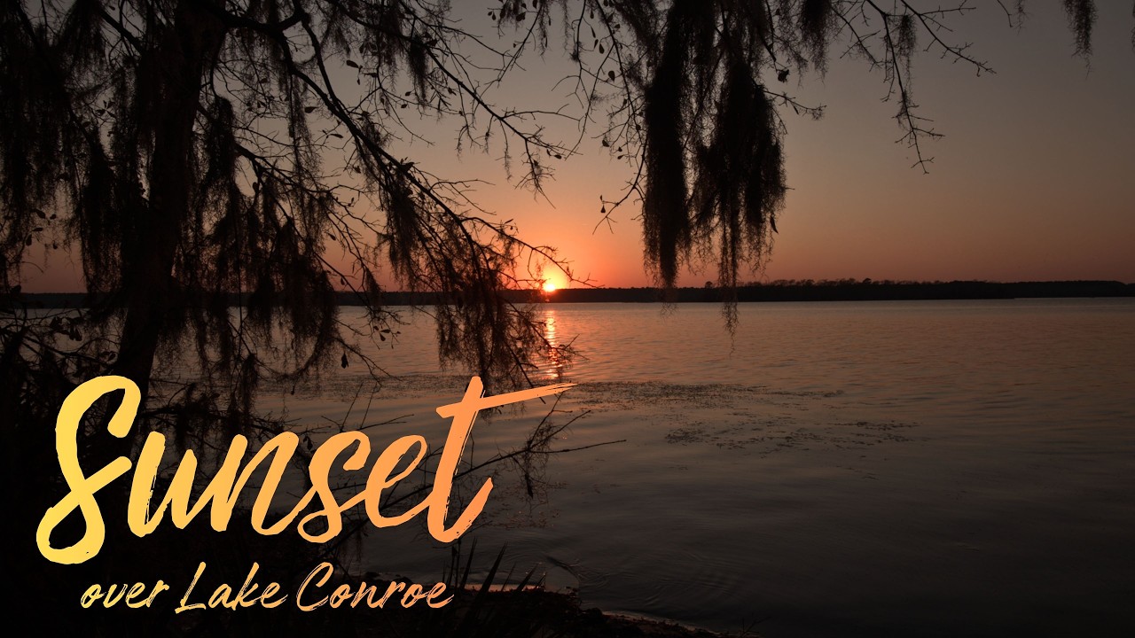 Sunset Over Lake Conroe | 3 Hours Lake Ambience, Soft Music and Walden Solitude Reading