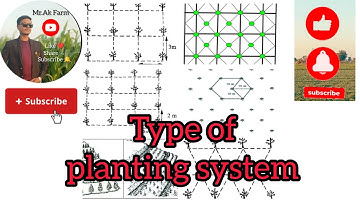 Type of planting system/Orchard layout🌳 #fruitscience #orchardmanagement #plantingtips #agriculture