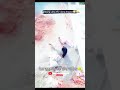आयशा भी जुनून नहीं होना चाहिए 😂🪁 | #shorts #viral #kite #patang #kitelover #vlogs #kiteground