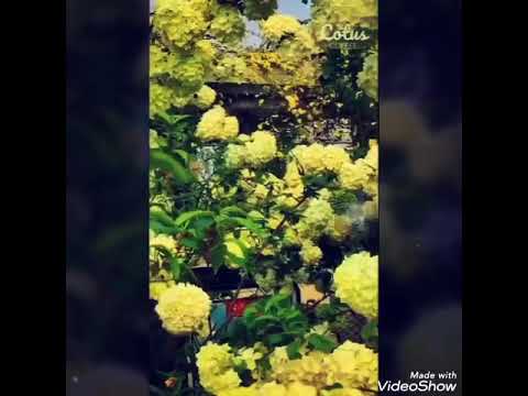 Alam Ciptaan Tuhan - YouTube