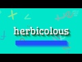 How to say "herbicolous"! (High Quality Voices)