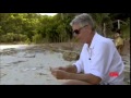 Anthony bourdain  crabs