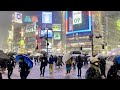 【4K】Tokyo Heavy Snowfall in Shibuya 2022