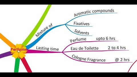 【Mapplynz】11.  Mind Map Perfume